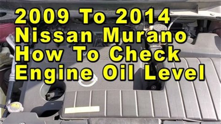 2009 nissan murano oil type