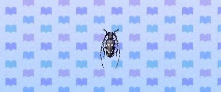 acnl longhorn beetle