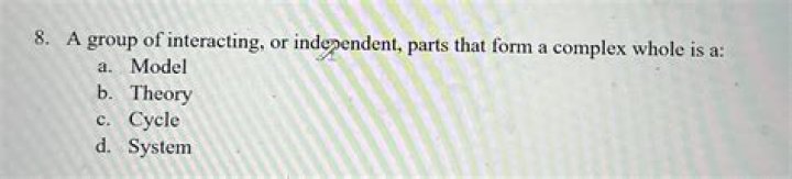 any size group of interacting parts that form a complex whole is