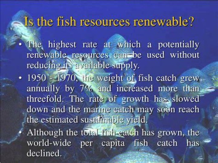 are fish a renewable resource