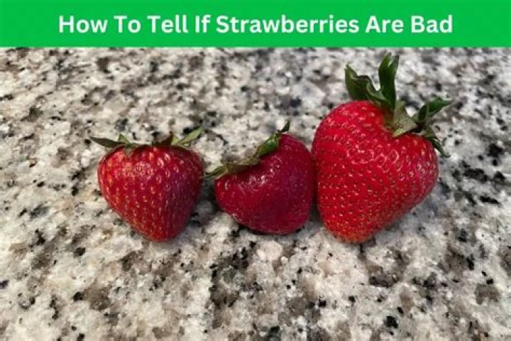 Are strawberries bad for cows?
