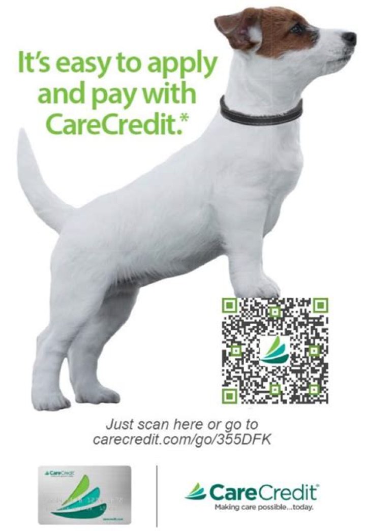 Can you use CareCredit for dog grooming?