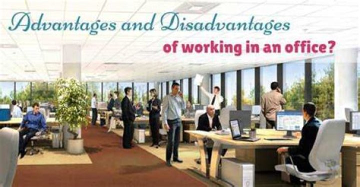disadvantages of large office