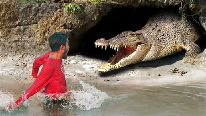 Do crocodiles eat humans?