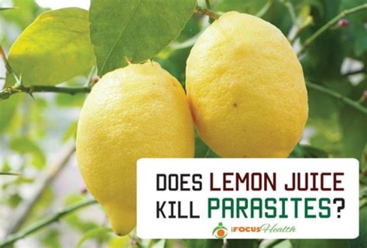 does lemon kill parasites