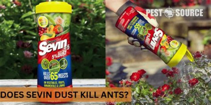 does sevin dust kill termites