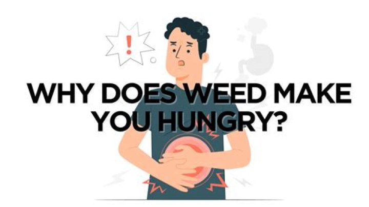 Does smoke make you hungry?