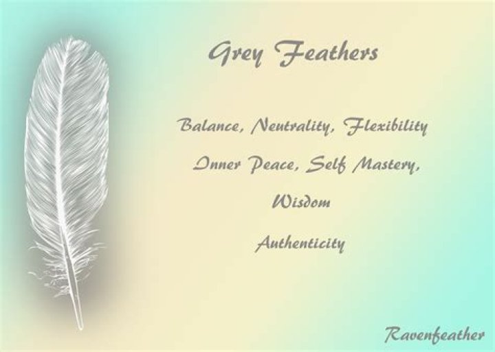 gray feather meaning