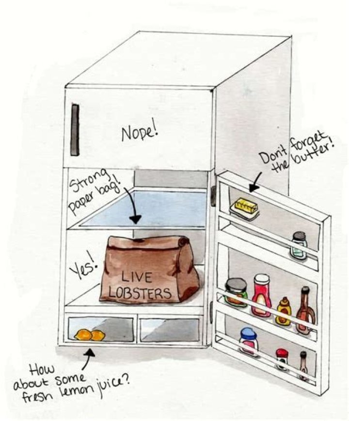 How do you keep lobsters alive before cooking?