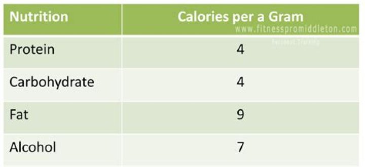 how many calories in a gram of protein