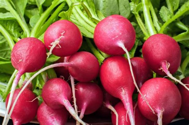how many radishes in a bunch