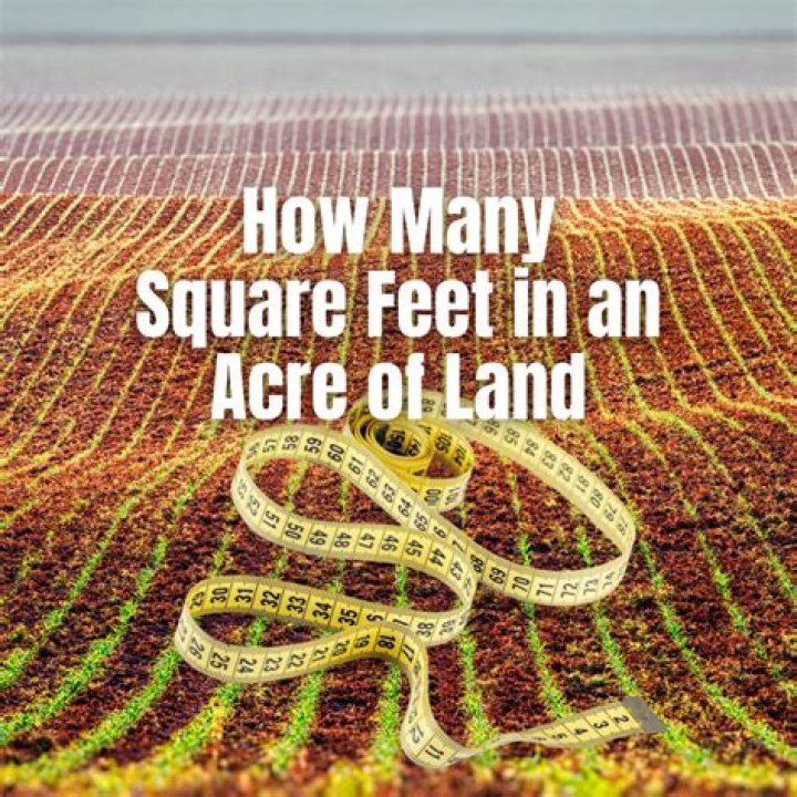 how many square feet in 100 feet