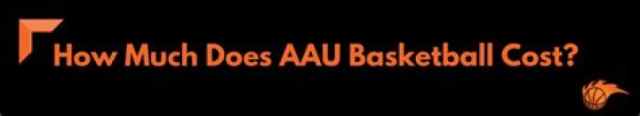 how much does aau basketball cost