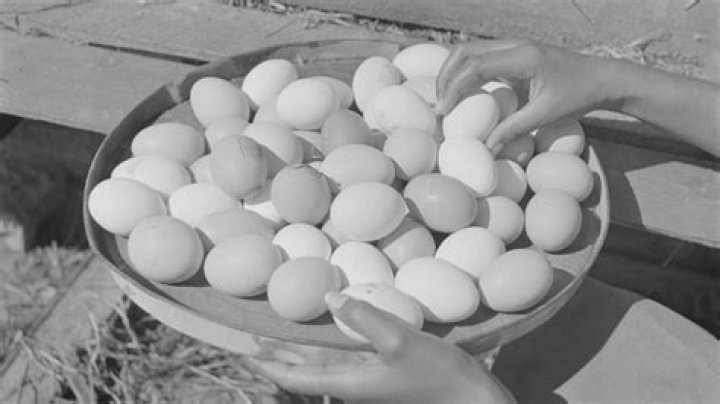 How much was a dozen eggs in 1966?