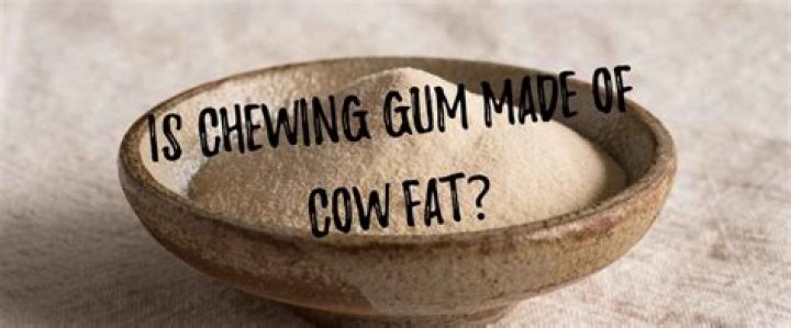 is gum made of whale fat