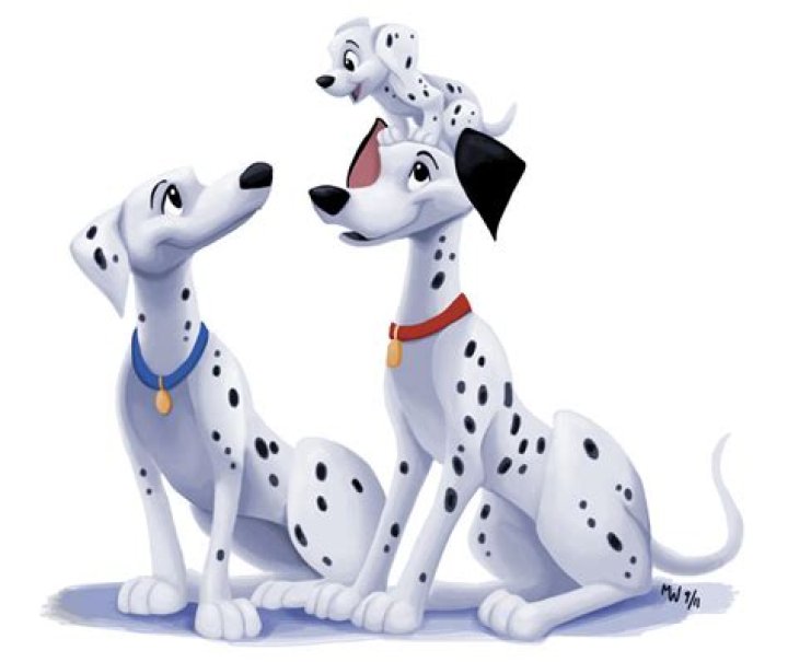kh dalmatians 61 62 63