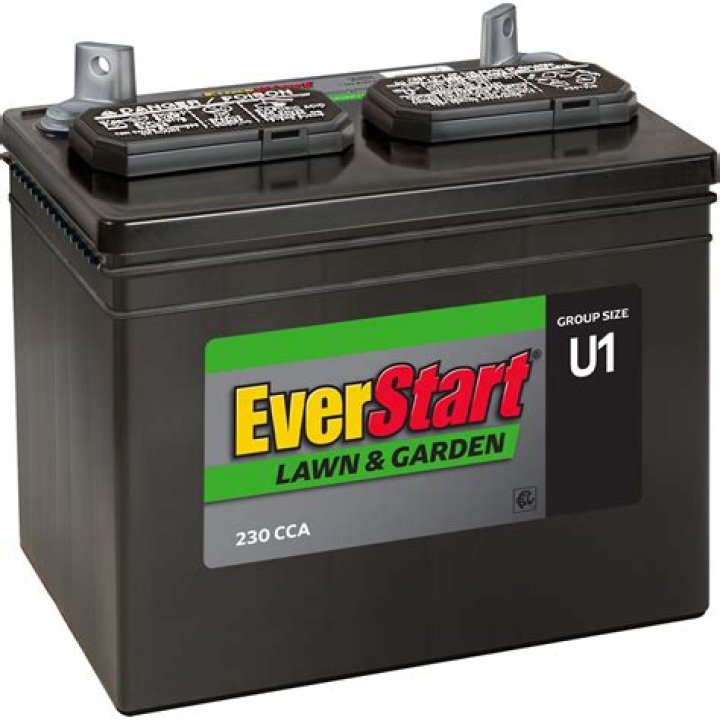 lawn mower battery 6v or 12v
