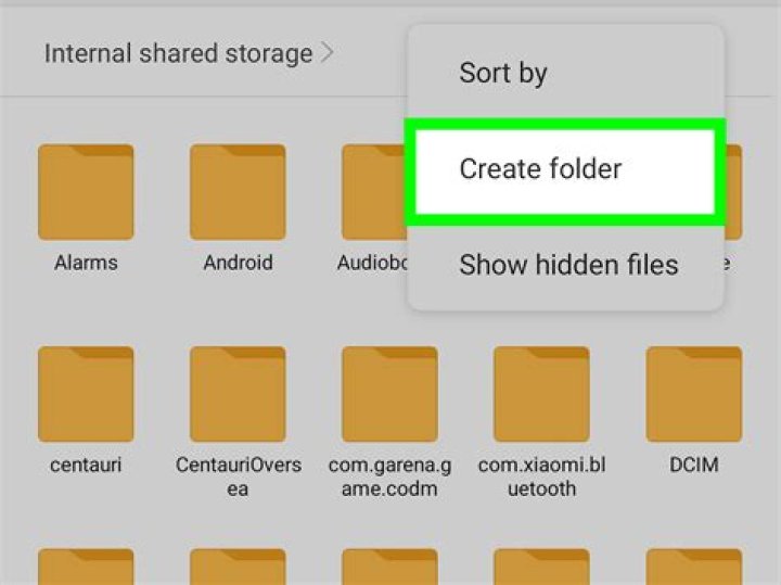 lazylist folder in android