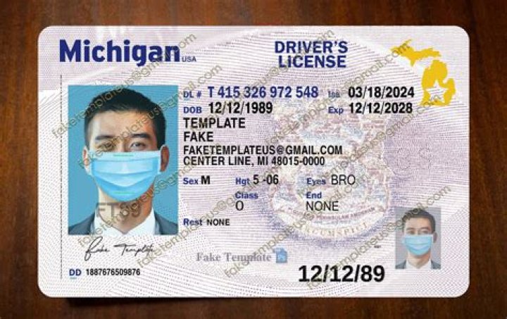 license type o michigan
