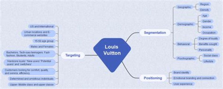louis vuitton target market