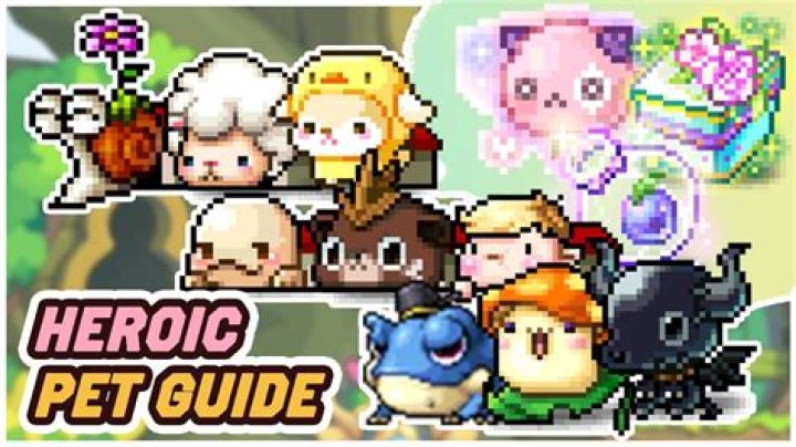 maplestory pet commands