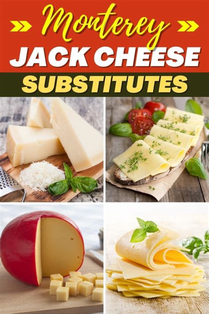 monterey jack substitute