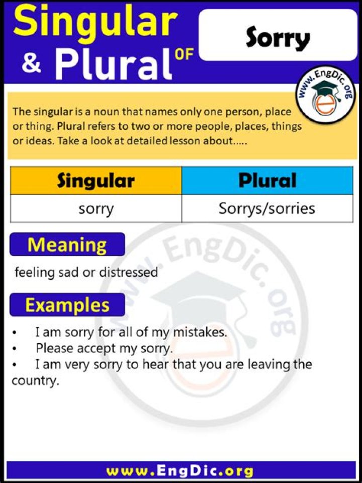 plural of sorry