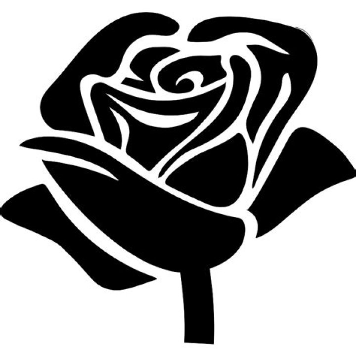 rose shape