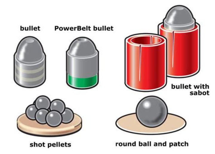 shot pellets and bullets are examples of which basic component