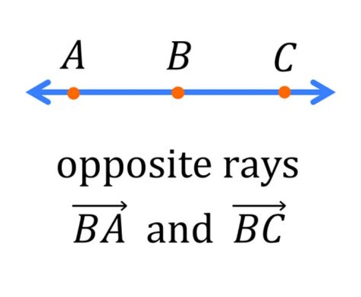 two opposite rays
