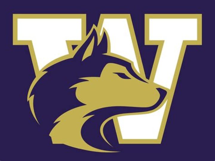 university of washington colors