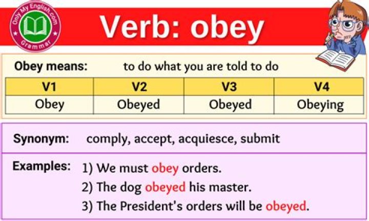 verb 3 obey