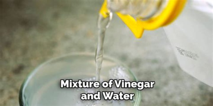 water and vinegar mixture
