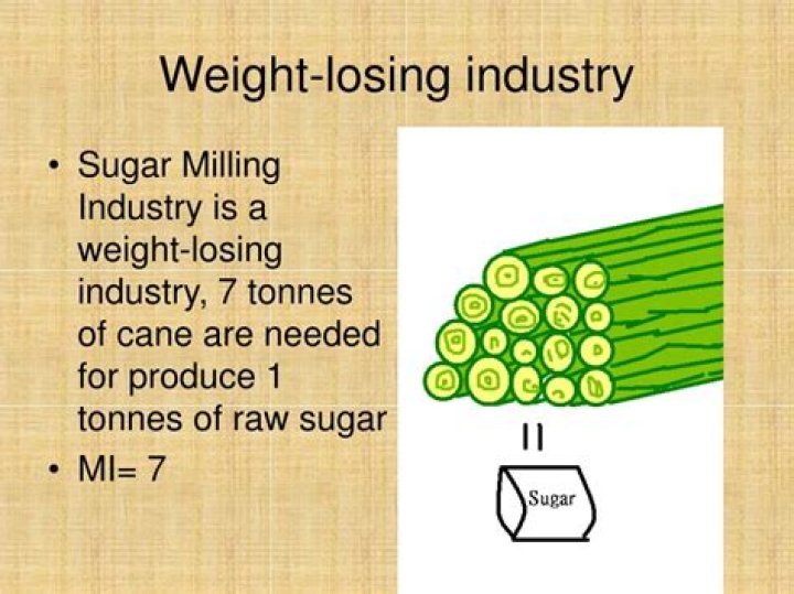 weight losing industry
