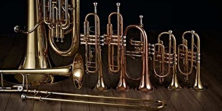 what brass instrument does not have valves
