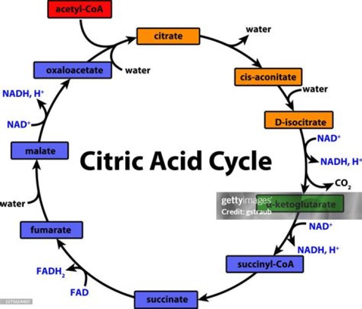 What does not have citric acid?
