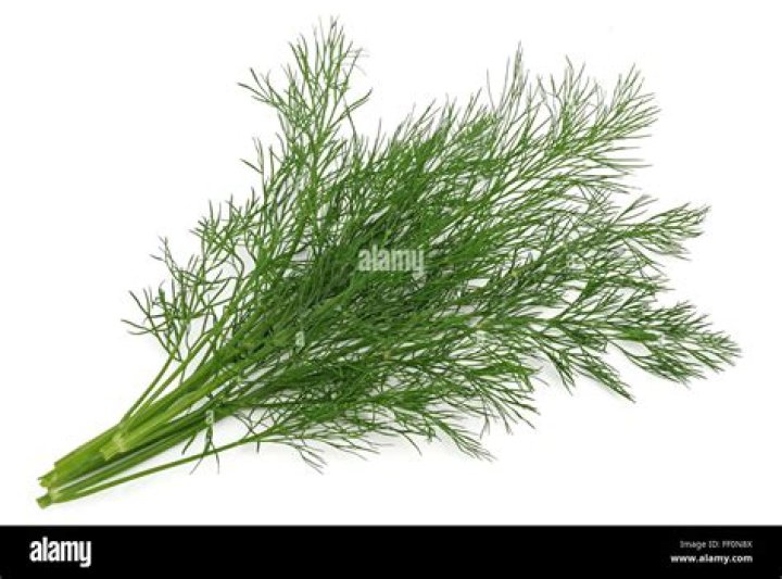 what is a sprig of dill