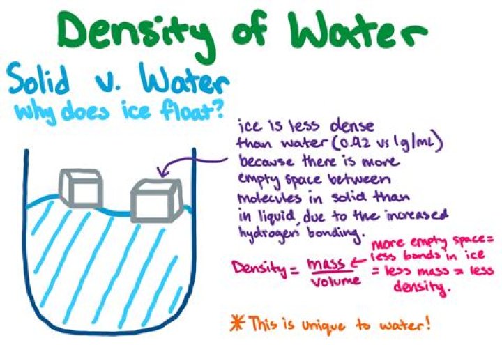 What is the density of water lb gal?