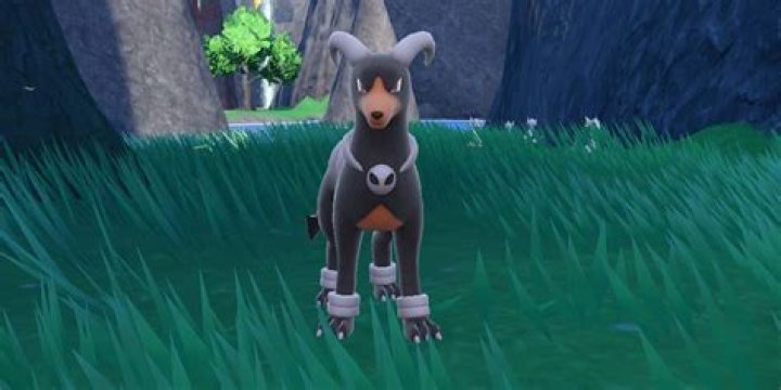 what level does houndour evolve at