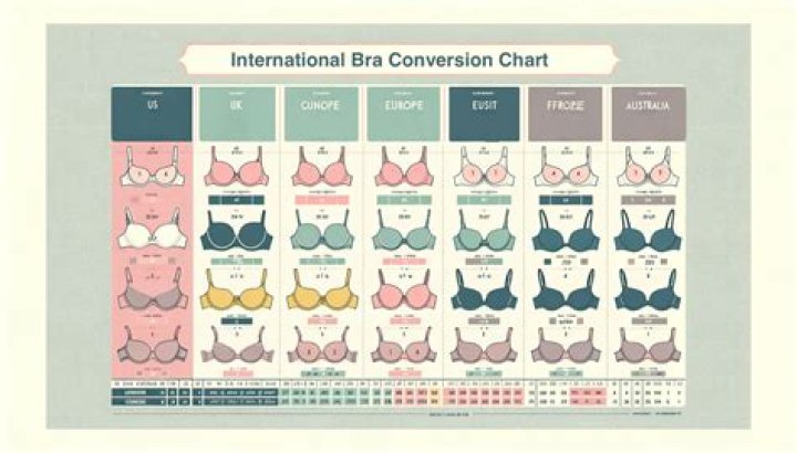 Which bra size is bigger B or C?