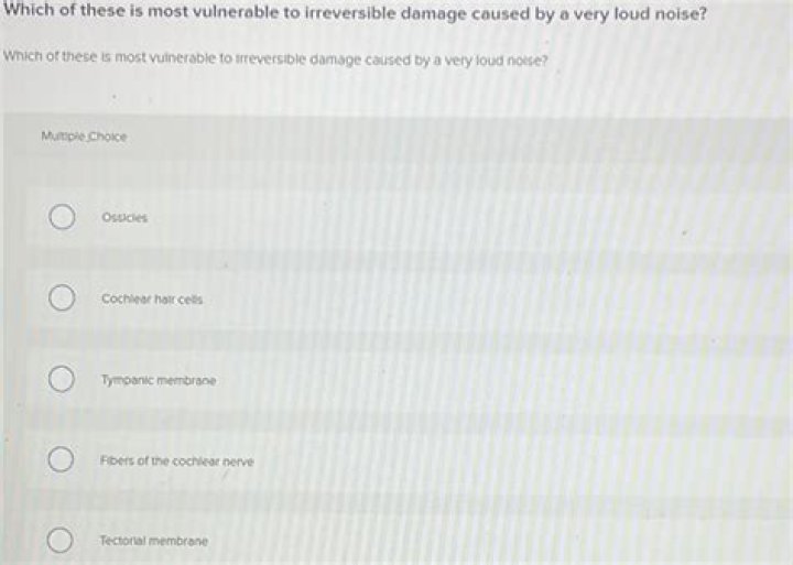 which of these is most vulnerable to irreversible damage caused by a very loud noise?