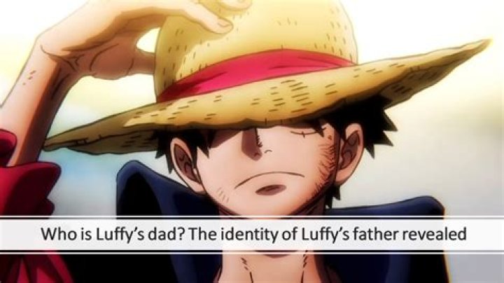 Who is Luffy’s boyfriend?