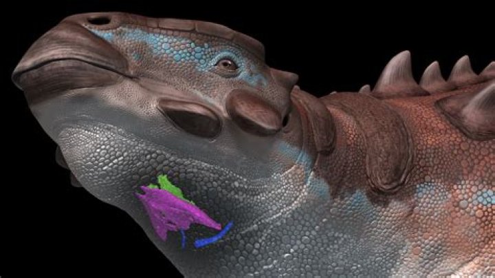 why is it called a crush